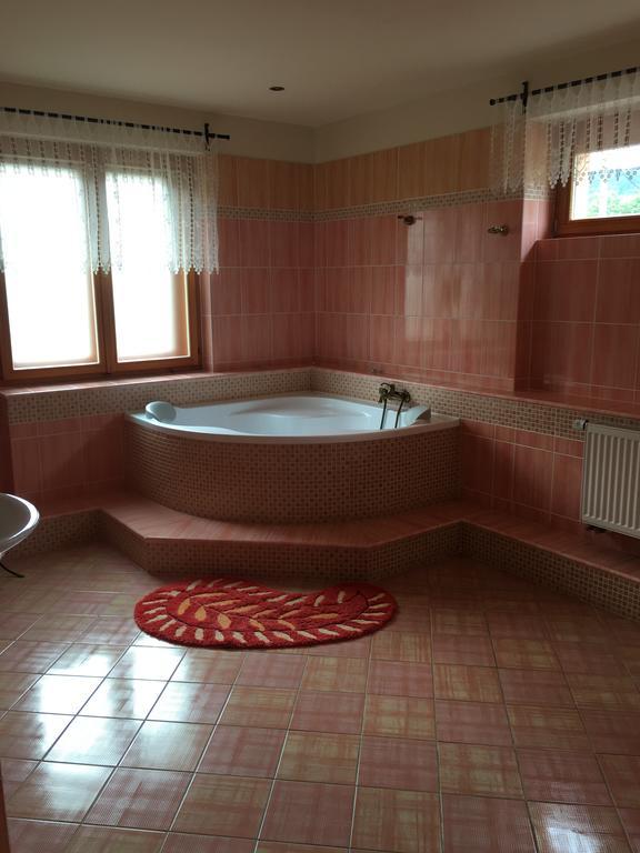 Apartmany Pemi Potstejn Bagian luar foto